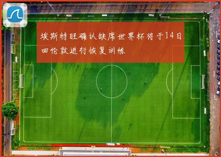埃斯特旺确认缺席世界杯将于14日回伦敦进行恢复训练
