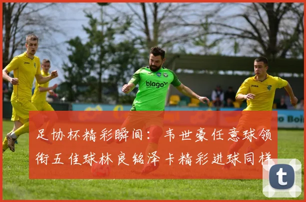 足协杯精彩瞬间：韦世豪任意球领衔五佳球林良铭泽卡精彩进球同样耀眼
