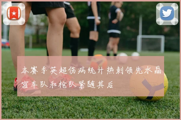 本赛季英超伤病统计热刺领先水晶宫车队和枪队紧随其后