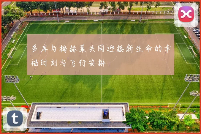 多库与梅赫莱共同迎接新生命的幸福时刻与飞行安排